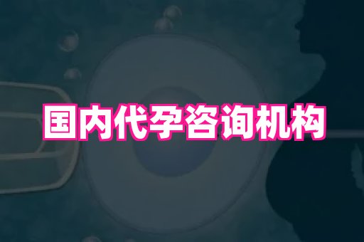长春助孕网 3