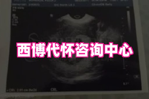 长春助孕网 4